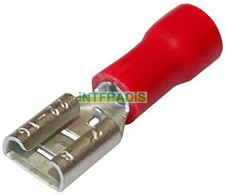 Očnica INTFRADIS France